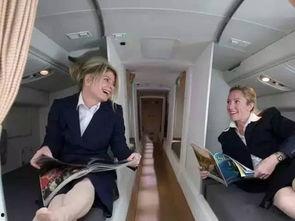 美国航空空姐爆料视频,揭秘机舱内幕与真实服务现状