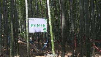 竹林小区新闻爆料事件视频,视频揭露惊人真相